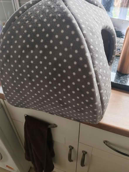 Photo of free Cat bed hardly ever used (Hereford HR4 0Jz) #2