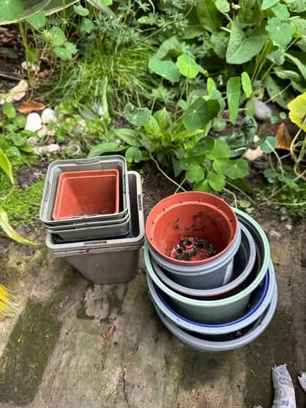 Photo of free 20 plant pots - various sizes (SE11) #1
