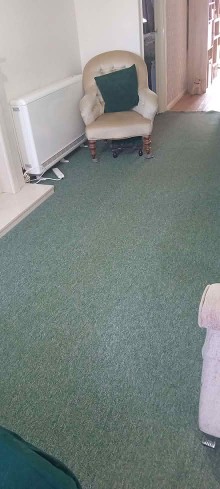 Photo of free Green Carpet 4.5mx 3m. approx. Good condition. (Portsmouth PO3) #1