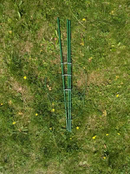 Photo of free Flower support (Oxford OX3) #2