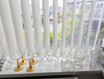 Photo of free Lot of vintage glasses and cups (BD20 5NE) #1