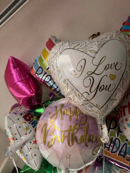 Photo of free 24 balloons (Boise Towne square) #1