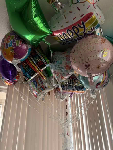 Photo of free 24 balloons (Boise Towne square) #4