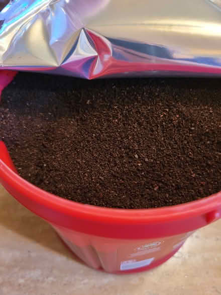 Photo of free Folgers Classic Roast Coffee (Los Altos Hills, CA) #2