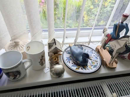 Photo of free Birds and other bric-a-brac (BD20 5NE) #2