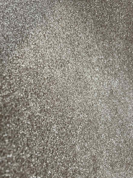Photo of free Large carpet rug (Woburn Sands MK17) #1