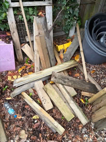 Photo of free Loads of good wood (Alderney, Poole BH12) #1