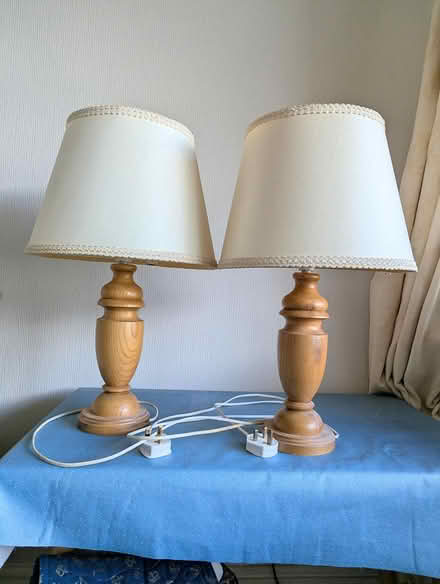 Photo of free Two vintage lamps (BD20 5NE) #3