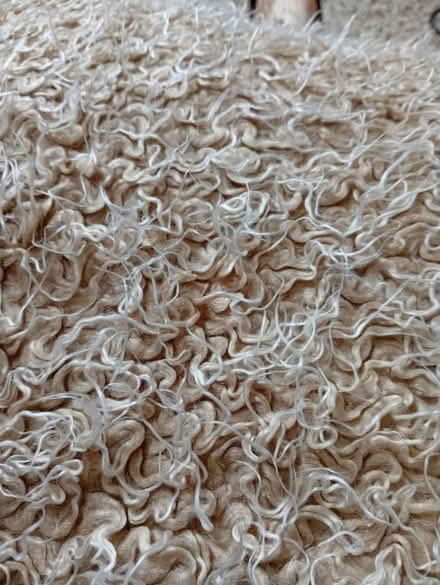 Photo of free Large fake fur throw (Buxworth SK23) #2
