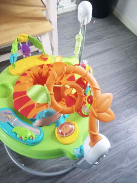 Photo of free Fisher Price Jumparoo (Belle Isle LS10) #2