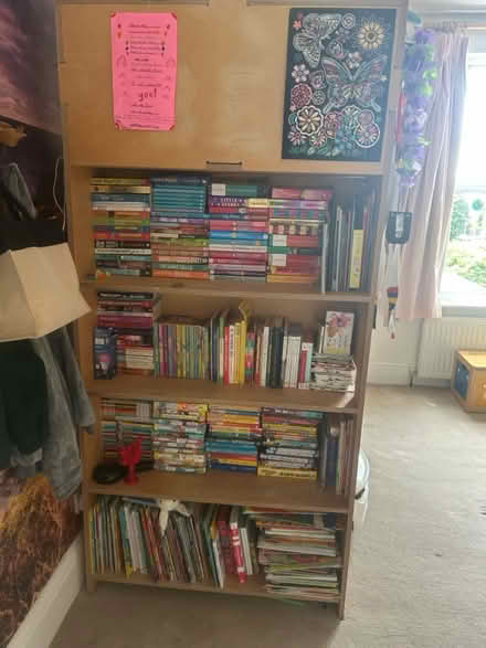 Photo of free Cabin bed (E18) #3