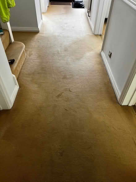Photo of free Cream carpet with underlay (Billericay CM12) #1