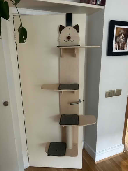 Photo of free cat door climber (Maida Vale W9) #1