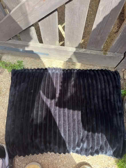Photo of free Pet bed (Ipswich IP2) #1