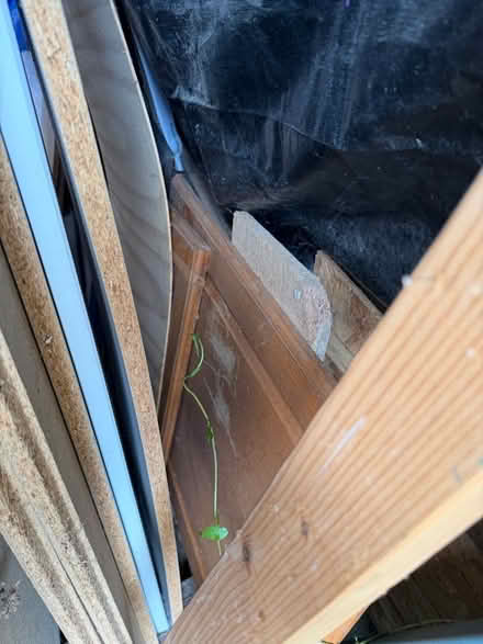 Photo of free Timber offcuts (Llynclys SY10) #3