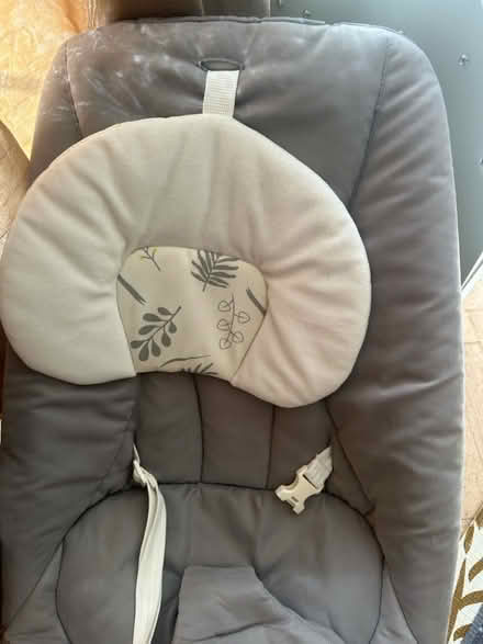 Photo of free Joie Fern Baby Bouncer (SM6 0td) #2