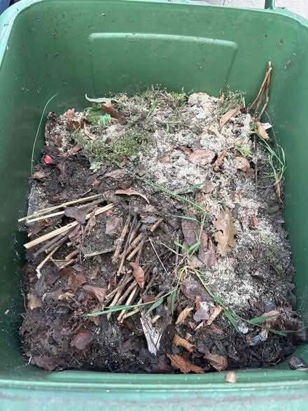 Photo of free Liverpool Council Green Bin & compost (Knotty Ash L12) #2