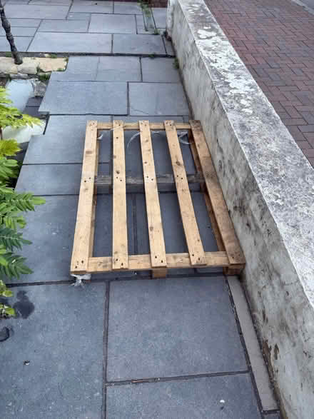 Photo of free Wooden palette / timber frame (Putney SW15) #1
