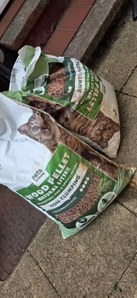 Photo of free Cat Litter (Wood Green N22) #2