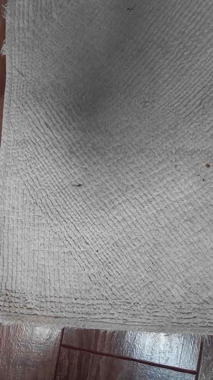 Photo of free Rug (Sheffield S12) #2