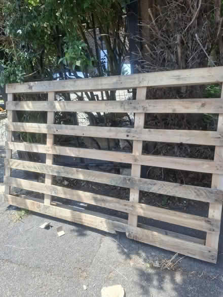 Photo of free Large pallet 2meters by 1.2m (Se9 4ae) #2