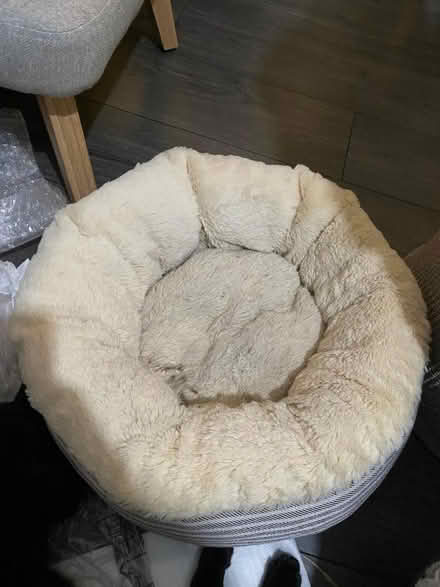 Photo of free Cat bed (En2) #3
