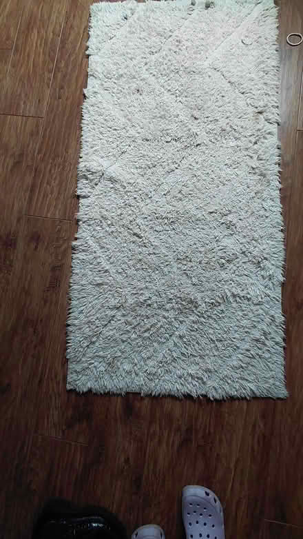 Photo of free Rug (Sheffield S12) #1