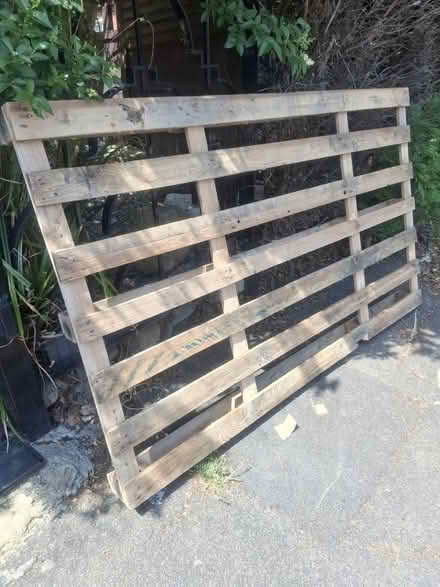 Photo of free Large pallet 2meters by 1.2m (Se9 4ae) #1