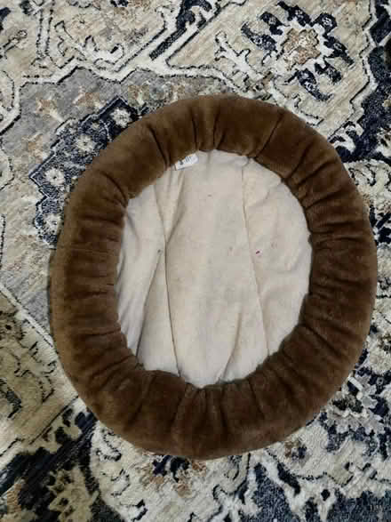 Photo of free Cat bed (En2) #4