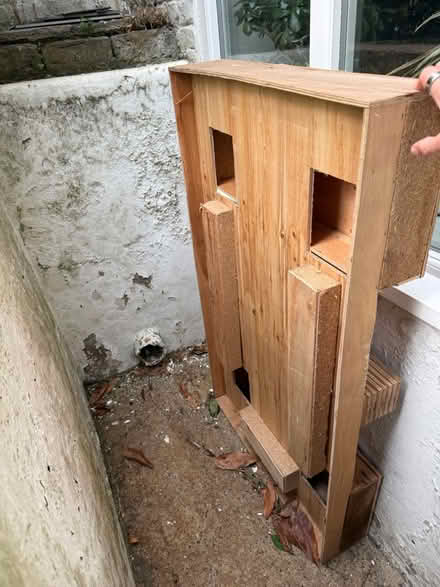 Photo of free Wooden pallet / timber base (Putney SW15) #2