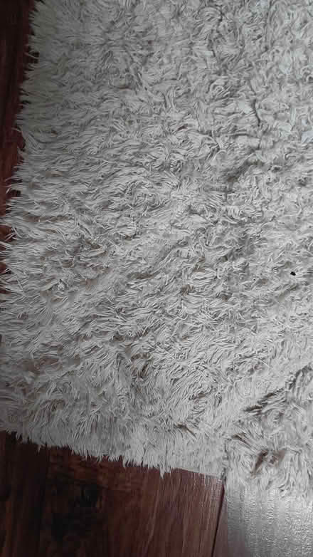 Photo of free Rug (Sheffield S12) #3
