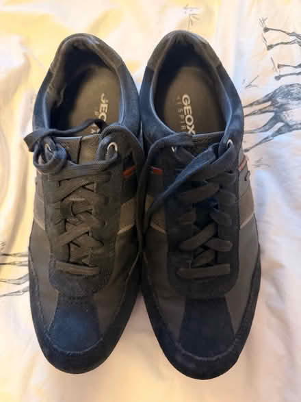 Photo of free Men’s Blue Geox size 42 shoes (Craigleith EH4) #4