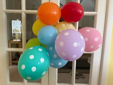 Photo of free Air Filled Ballions (BH22 8) #2