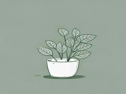 Photo of Artificial plants (Oswestry SY11) #1