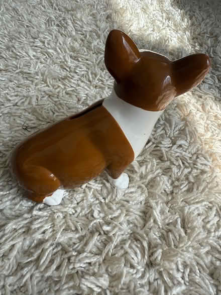 Photo of free Corgi dog money box (Carshalton) #3