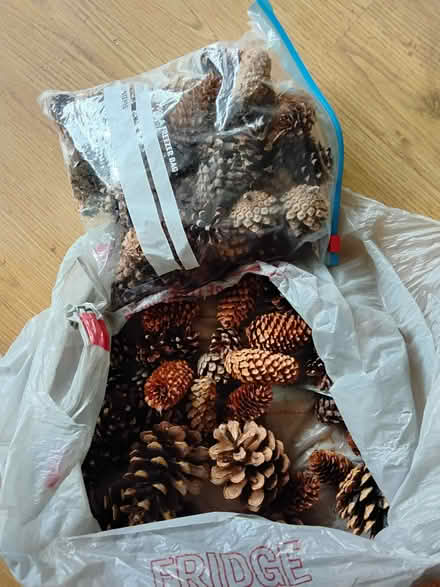 Photo of free Bag of 86 assorted fir cones (Bryn Gates WN2) #1