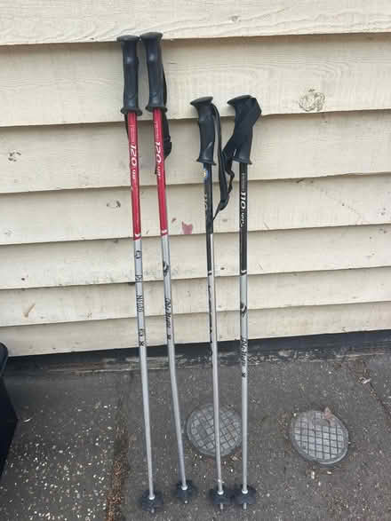 Photo of free Hiking sticks (Kelvedon CO5) #1