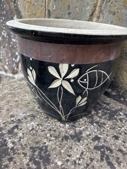 Photo of free Small plant pot (Guildford) #1
