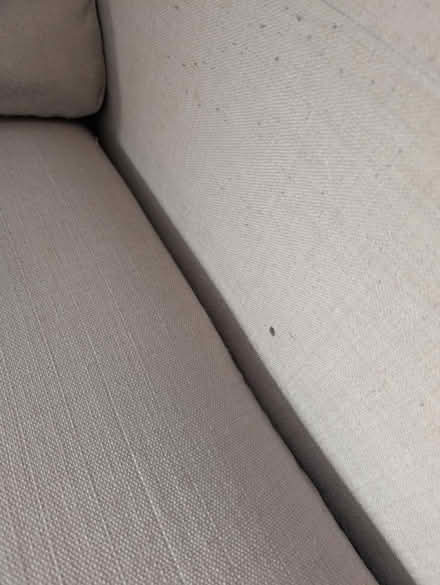 Photo of free Sleeper couch (Little Downham CB62SF) #4