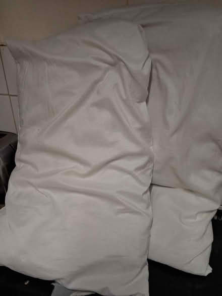 Photo of free 2 pillows fairly new (Soho WC2H) #1