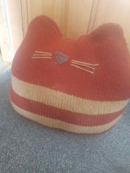 Photo of free Soft toy stripey ginger cat (Chesterfield, S41) #1
