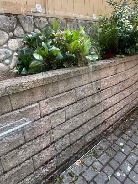 Photo of free Sliding shower doors (2) (Green Lake) #1