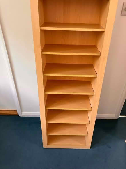 Photo of free CD Storage Shelving Unit (Forest Hill SE23) #3