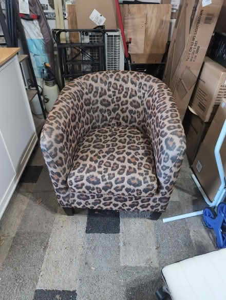 Photo of free Leopard print chair (Salem, NH) #1