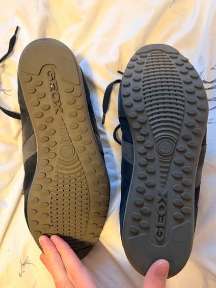 Photo of free Men’s Blue Geox size 42 shoes (Craigleith EH4) #1
