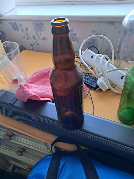 Photo of free Brown beer bottles for home brewing and green bottles (Wirksworth DE4) #3