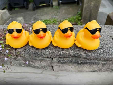 Photo of free Rubber Ducks (Freehold LA1) #1