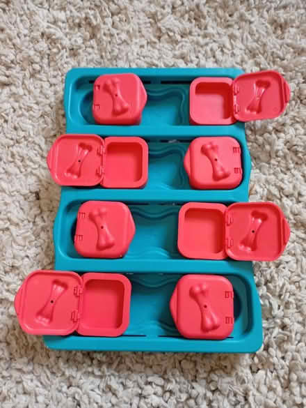 Photo of free Dog puzzel for treats (Buxworth SK23) #1