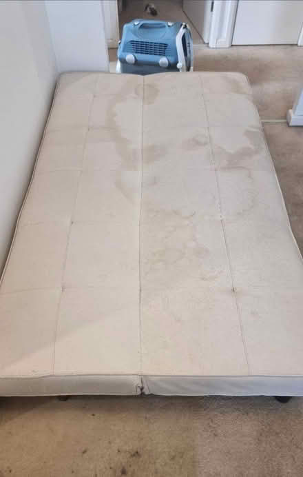 Photo of free Sofa Bed with 2 Covers (Forest Green, Nailsworth) #4
