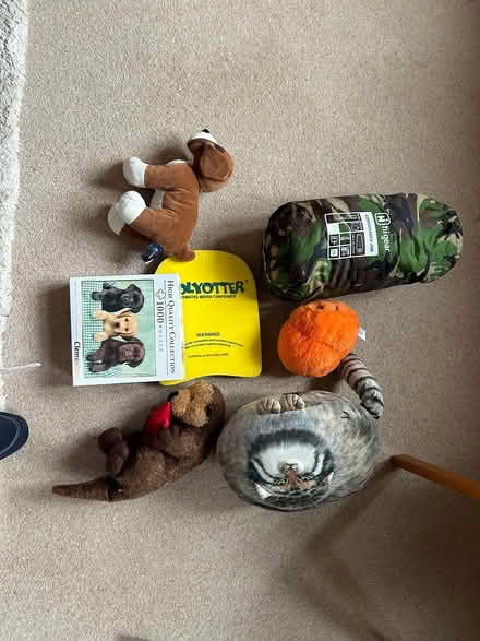 Photo of free Various toys (Llandaf Cardiff) #1